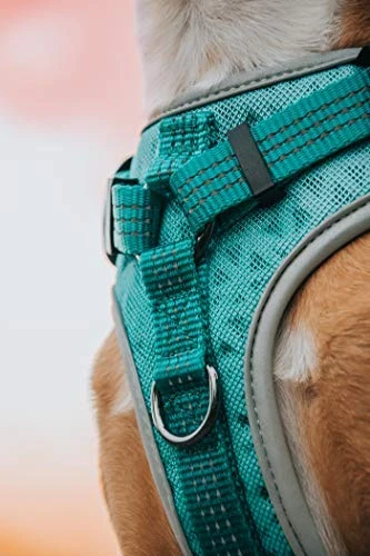 Mia's Pet Supply Embark Sports Dog Harness - Lightweight & Breathable Design for Dogs 6 Mia's Pet Supply Embark Sports Dog Harness, Light And Breathable Design