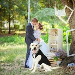 Mia's Pet Supply Formal Dog Tuxedo For Medium Large Dogs,