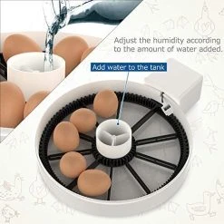 Budget Mia's Pet Supply Life Basis Egg Incubator for Chicken Coops | Reliable & Efficient Hatching Solution 10 Mia's Pet Supply Life Basis Egg Incubator