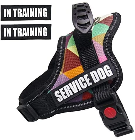 Mia's Pet Supply Dihapet Dog Harness & Service Vest - Top 10 Rated for Comfort & Safety 16 Mia's Pet Supply Dihapet Dog Harness, Service Dog Vest