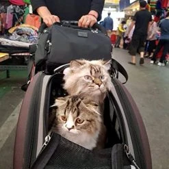 Mia's Pet Supply Travel : Ibiyaya 5 In 1 Pet Carrier + Backpack + Car Seat + Pet Carrier Stroller + Carriers With Wheels For Dogs And Cats All In ONE (Brown) : Pet Supplies