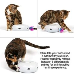 Mia's Pet Supply Cat Toys PetFusion Ambush Interactive Electronic Cat Toy