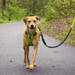 Mia's Pet Supply Leashes And Harness Tuff Mutt Dog Harness For Medium & Large Breeds, Easy On Easy Off