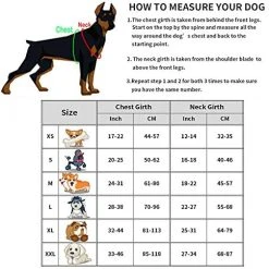 Mia's Pet Supply Dihapet Dog Harness & Service Vest - Top 10 Rated for Comfort & Safety 21 Mia's Pet Supply Dihapet Dog Harness, Service Dog Vest