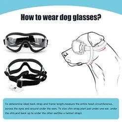 Mia's Pet Supply PEDOMUS Dog Sunglasses & Goggles - Adjustable Strap for Travel, UV Protection 13 Mia's Pet Supply Apparel PEDOMUS Dog Sunglasses Dog Goggles Adjustable Strap For Travel