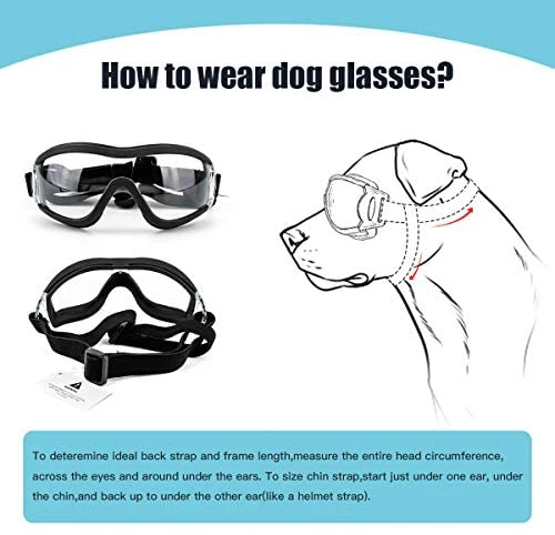 Mia's Pet Supply PEDOMUS Dog Sunglasses & Goggles - Adjustable Strap for Travel, UV Protection 6 Mia's Pet Supply Apparel PEDOMUS Dog Sunglasses Dog Goggles Adjustable Strap For Travel