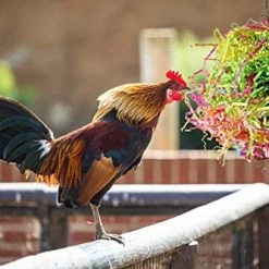 Mia's Pet Supply Vehomy Chicken Toys For Hen With Natural Colorful Loofah Shredder Toys