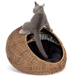 Mia's Pet Supply GARDEN Wicker Cat Bed Dome For Medium Indoor Cats Bedding