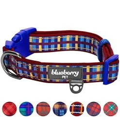 Mia's Pet Supply Blueberry Style Designer Padded Adjustable Dog Collar