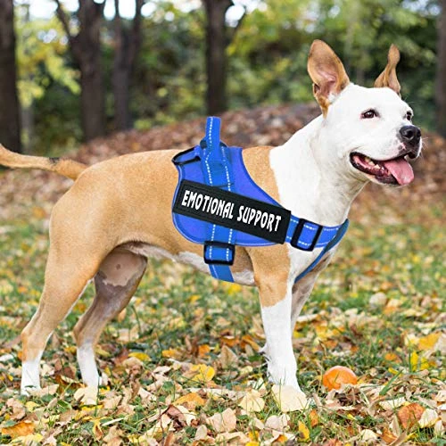 Mia's Pet Supply No-Pull Emotional Support Pet Vest Harness - Reflective, Breathable & Adjustable for Cats & Dogs 7 Mia's Pet Supply Leashes And Harness No-Pull Emotional Support Pet Vest Harness, Reflective Breathable And Adjustable