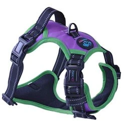 Mia's Pet Supply 2019 Upgraded No-Pull Dog Harness - 3M Reflective Adjustable Vest for Dogs 24 Mia's Pet Supply Leashes And Harness PHOEPET 2019 Upgraded No Pull Dog Harness, 3M Reflective Adjustable Vest