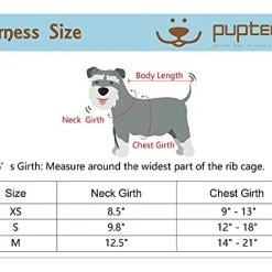 Mia's Pet Supply : PUPTECK Soft Mesh Tiny Dog Harness Padded Paid Design Leashes And Harness