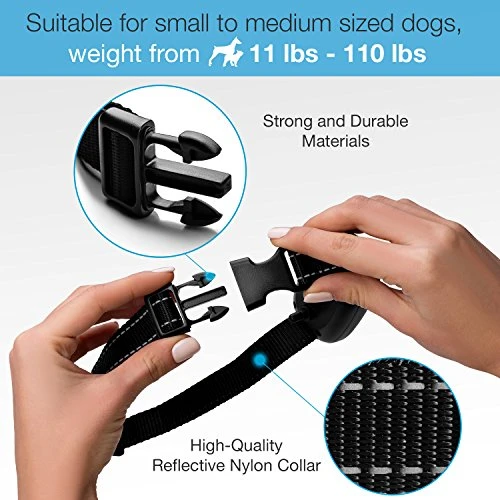 Mia's Pet Supply Dog Bark Collar - Affordable & Effective No-Bark Training for Dogs 5 Mia's Pet Supply : Dog Rook Dog Bark Collar