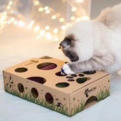 Mia's Pet Supply : Cat Interactive Treat Maze & Puzzle Feeder Cat Toys