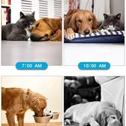 Mia's Pet Supply Training IMILLET WiFi Pet Camera Dog Camera With Phone App FHD