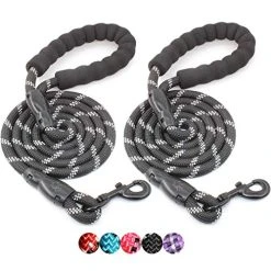 Mia's Pet Supply Strong Dog Leash With Comfortable Padded Handle Leashes And Harness