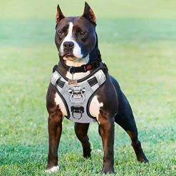 Mia's Pet Supply : Babyltrl Silver Big Dog Harness No-Pull Anti-Tear Adjustable Leashes And Harness