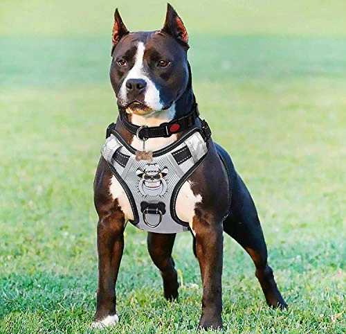 Mia's Pet Supply Silver Big Dog Harness - No-Pull Anti-Tear Adjustable Leash & Harness for Large Dogs 1 Mia's Pet Supply : Babyltrl Silver Big Dog Harness No-Pull Anti-Tear Adjustable Leashes And Harness