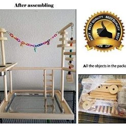 Mia's Pet Supply : QBLEEV Parrot Wood Stand Perch Bird Playstand Playground