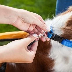 Mia's Pet Supply Schwinn Rascal Bike Pet Trailer for Dogs - Small & Large Breeds, Orange 17 Mia's Pet Supply Schwinn Rascal Bike Pet Trailer, For Small And Large Dogs, Small, Orange