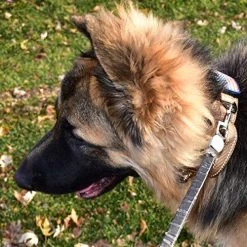 Mia's Pet Supply Dog Collar With Control Handle