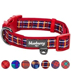 Mia's Pet Supply Blueberry Style Designer Padded Adjustable Dog Collar