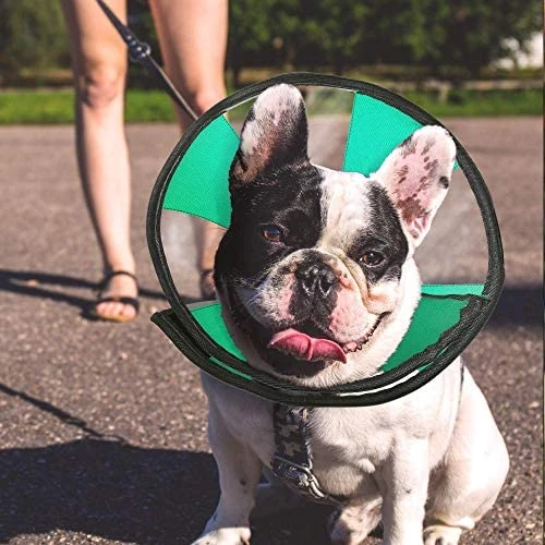 Mia's Pet Supply ProCollar Pet Recovery Cone E-Collar for Cats & Dogs - Comfortable & Adjustable 6 Mia's Pet Supply ProCollar Pet Recovery Cone E-Collar