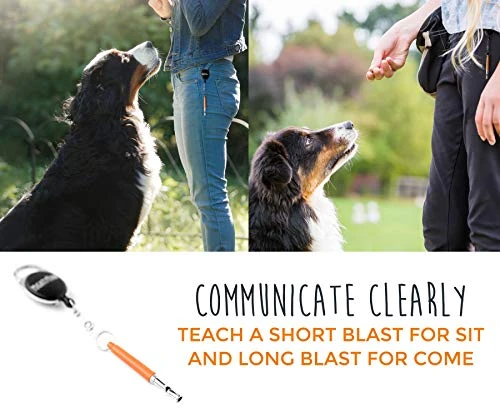 Mia's Pet Supply Mighty Paw Training Whistle for Dogs & Cats - Best Deal for Pet Training 4 Mia's Pet Supply : Mighty Paw Training Whistle,