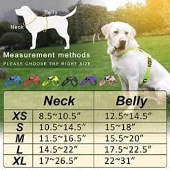 Mia's Pet Supply Leashes And Harness NOYAL In Training Dog Harness, Soft Breathable Mesh Dog Vest Harness