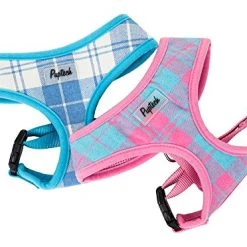Mia's Pet Supply : PUPTECK Soft Mesh Tiny Dog Harness Padded Paid Design Leashes And Harness