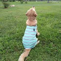 Mia's Pet Supply Camisetas Para Cachorro Con Tiras Anchas Para Perro, Ropa Para Mascotas,