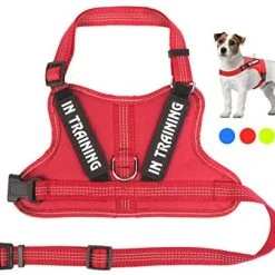 Mia's Pet Supply Leashes And Harness NOYAL In Training Dog Harness, Soft Breathable Mesh Dog Vest Harness