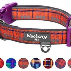 Mia's Pet Supply Blueberry Style Designer Padded Adjustable Dog Collar