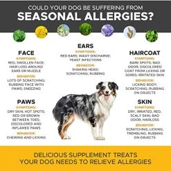 Pet Honesty Allergy Relief Immunity Supplement for Dogs - Best Reviews at Mia's Pet Supply 11 Mia's Pet Supply : Pet Honesty Allergy Relief Immunity Supplement For Dogs
