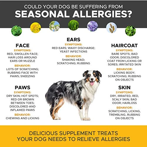 Pet Honesty Allergy Relief Immunity Supplement for Dogs - Best Reviews at Mia's Pet Supply 6 Mia's Pet Supply : Pet Honesty Allergy Relief Immunity Supplement For Dogs