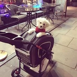 Mia's Pet Supply Travel : Ibiyaya 5 In 1 Pet Carrier + Backpack + Car Seat + Pet Carrier Stroller + Carriers With Wheels For Dogs And Cats All In ONE (Brown) : Pet Supplies