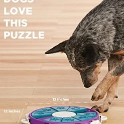 Mia's Pet Supply : Nina Ottosson Dog Twister Advanced Dog Puzzle Toy - Dog Toys