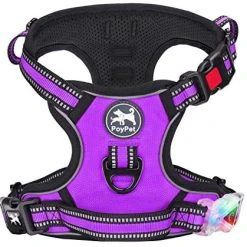 Mia's Pet Supply PoyPet No Pull Dog Harness - Reflective, No Choke Front Lead for Comfort & Safety 29 Mia's Pet Supply PoyPet No Pull Dog Harness, No Choke Front Lead Dog Reflective Harness Leashes And Harness