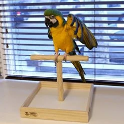 Mia's Pet Supply Parrot T Perch Stand Lg