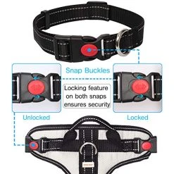 Mia's Pet Supply Silver Big Dog Harness - No-Pull Anti-Tear Adjustable Leash & Harness for Large Dogs 12 Mia's Pet Supply : Babyltrl Silver Big Dog Harness No-Pull Anti-Tear Adjustable Leashes And Harness