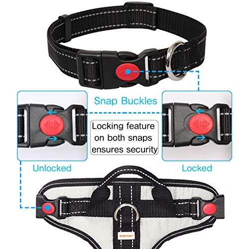 Mia's Pet Supply Silver Big Dog Harness - No-Pull Anti-Tear Adjustable Leash & Harness for Large Dogs 6 Mia's Pet Supply : Babyltrl Silver Big Dog Harness No-Pull Anti-Tear Adjustable Leashes And Harness