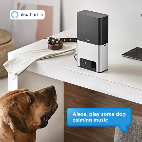 Petcube Bites 2 Wi-Fi Pet Camera with Treat Dispenser & Alexa Built-in - Interactive Dog Toy & Monitor 3 Mia's Pet Supply Petcube Bites 2 Wi-Fi Pet Camera With Treat Dispenser & Alexa Built-in Dog Toys