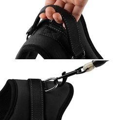 Mia's Pet Supply : Soft Leash Padded No Pull Dog Harness With All Kinds Of Size (XXX Small, Black)