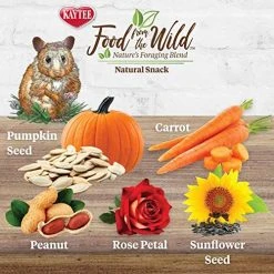 Mia's Pet Supply Kaytee Food From The Wild Natural Snack