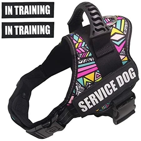 Mia's Pet Supply Dihapet Dog Harness & Service Vest - Top 10 Rated for Comfort & Safety 1 Mia's Pet Supply Dihapet Dog Harness, Service Dog Vest