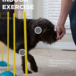 Outward Hound ZipZoom Indoor Dog Agility Training Kit for Dogs - Fun & Interactive Pet Training Set 9 Mia's Pet Supply Outward Hound ZipZoom Indoor Dog Agility Training For Dogs : Outward Hound