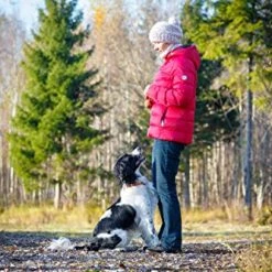 Mia's Pet Supply Dog Toys : PlayfulSpirit Durable Natural Rubber Ball On A Rope