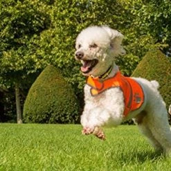 Mia's Pet Supply 4LegsFriend Dog Safety Reflective Vest