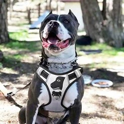 Mia's Pet Supply : Babyltrl Big Dog Harness No-Pull Anti-Tear Adjustable