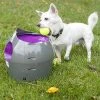 Mia's Pet Supply : PetSafe Automatic Ball Launcher Dog Toy, Tennis Ball Throwing Machine For Dogs
